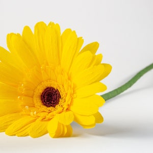 Gerbera di carta / Decorazione per la casa e per eventi