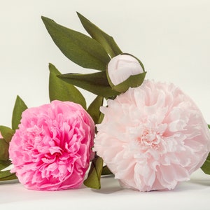 Carta Peony & Bud / Decorazioni di fiori di carta / Crepe Flowers / Flower Party Décor / Garden Wedding Decor / Bouquet di carta / Regalo di anniversario