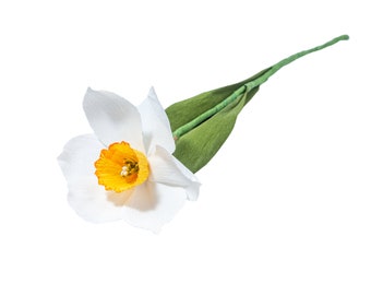 Paper Daffodil | Home and Event Decoration