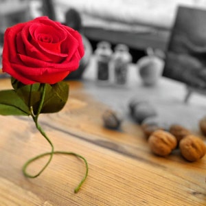 Rosa di carta crespa/stelo riccio/decorazione per la casa e gli eventi
