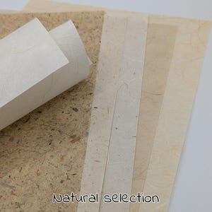 SÉLECTION DE PAPIER VÉGÉTAL, avec fibres de mûrier, 40 gsm - 50 gsm, feuilles A4, idéal pour les scrapbooks et la tenue d'un journal ou pour emballer des cadeaux.