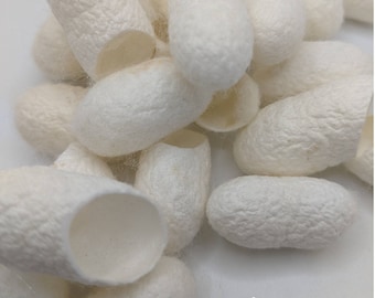 SILK COCOONS packs of 5, 10 or 20 WHITE  pictures are for color reference only.