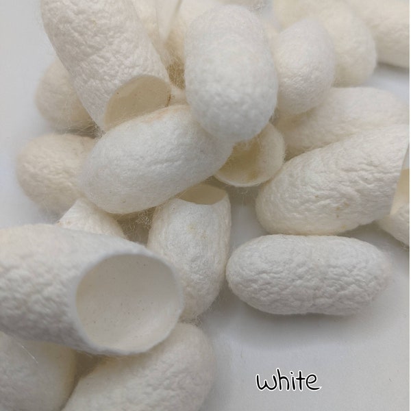 SILK COCOONS packs of 5, 10 or 20 WHITE  pictures are for color reference only.