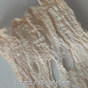 Peut inclure: Gros plan sur de l'écorce de mûrier crème avec un aspect texturé et fibreux. L'écorce a une qualité délicate, presque translucide, avec des trous visibles et une esthétique douce et naturelle. Le texte "Cream mulberry bark" est en bas.