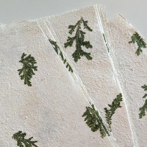 CARTA AMATE MESSICANA, con foglie, ottima per album di ritagli e diari, bellissima carta con corteccia e materiali vegetali, 29 cm x 19 cm.
