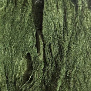 CASCA DE AMORA VERDE tingida em pedaços de tamanhos variados