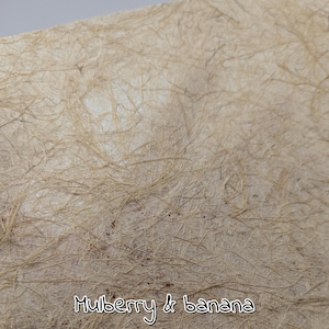 MULBERRY & BANANA fibre paper, great for scrap books and journaling, beautiful paper with bark and plant materials