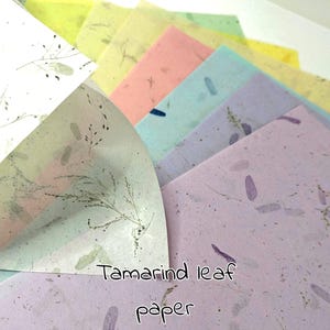 TAMARINDBLATTPAPIER, mit Maulbeerbaumfaser, 30gsm - 40gsm, A4-Blätter, ideal für Scrapbook- und Journaling oder Geschenkverpackungen.