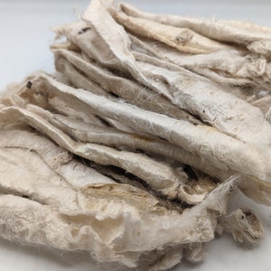 Può includere: Primo piano di un mucchio di materiale fibroso bianco sporco. Il materiale sembra essere strisce di tessuto o fibra, con una superficie leggermente strutturata e irregolare. Le fibre hanno un aspetto naturale e organico, che suggerisce uno stato grezzo o non trattato.