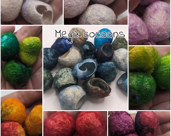 HUGE SILK COCOONS, mega cocoons, large cocoons, great for spider enclosures. pictures are for color reference only.