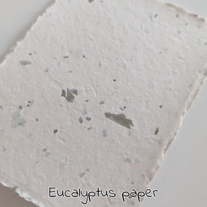 PAPEL DE EUCALIPTO Y HOJAS, 17 cm x 13 cm, hermoso papel a base de plantas, elaborado con pulpa de algodón de desecho y hojas reales.