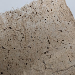 Papel MULBERRY, aspecto antigo, cor natural, ideal para caligrafia e scrapbooking, envie dobrado, 27cmx37cm