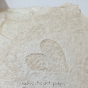 CARTA A CUORE DI AGAVE, dalla Thailandia, ottima per album e diari, bellissima carta con corteccia e materiali vegetali