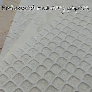 Puede incluir: Papeles de morera en color blanco roto y beige con texturas en relieve, incluyendo un patrón de cuadrícula prominente y formas orgánicas similares a hojas. El texto "Embossed mulberry papers" aparece impreso en la parte superior.