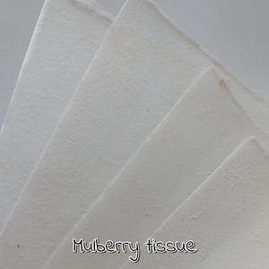 CARTA VELINA DI GELSO 50 g/m², carta leggera, ottima per album di ritagli e diari, carta bellissima, leggera e soffice.