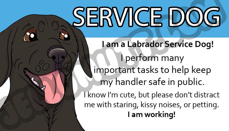 Electronic Obtain, Printable Company Doggy Legislation Card, ADA Card, Labrador Retriever, Facts Card graphic about Printable Ada Service Dog Card named Electronic Obtain, Printable Support Pet Legislation Card, ADA Card, Labrador Retriever, Information and facts Card