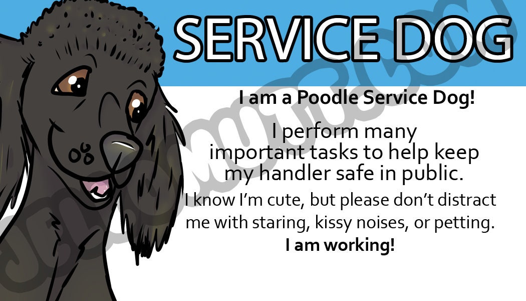 Electronic Obtain, Printable Provider Pet Legislation Card, ADA Card, Poodle, Information and facts Card photo regarding Printable Ada Service Dog Card identified as Electronic Obtain, Printable Company Doggy Regulation Card, ADA Card, Poodle, Facts Card
