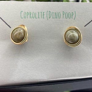 Orecchini a perno in coprolite fossilizzata (cacca di dinosauro) da 6 mm - Argento/Acciaio/Ferro nero/Titanio/Oro 14K/Oro rosa/Niobio nero - Perno