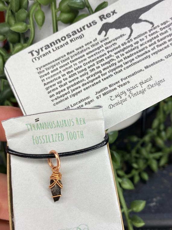 Genuine Small T Rex Tooth Wire Wrapped Pendant Necklace /Steel/Copper/Bronze/Gold 14K Rose Gold/ Niobium - Real Fossil Tyrannosaurus teeth