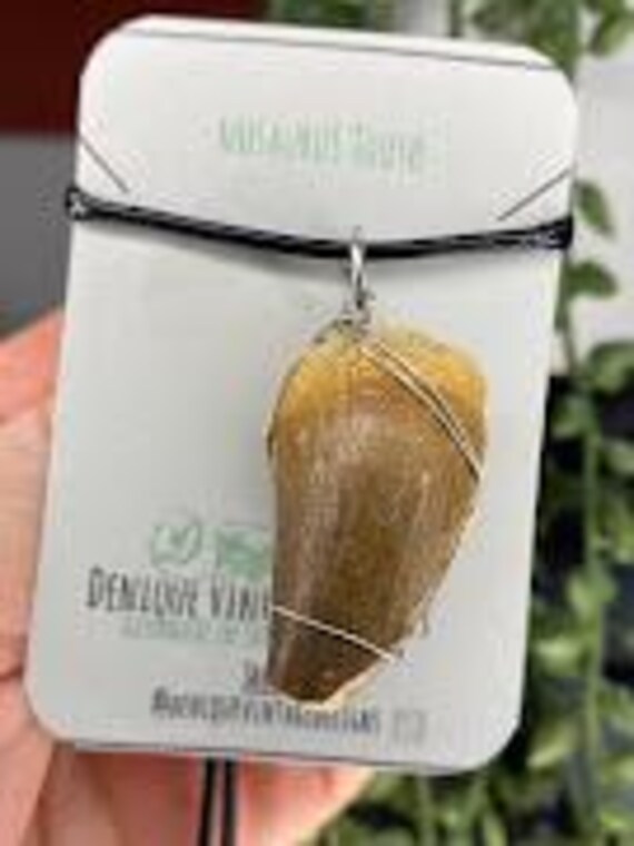 XL  -Genuine Fossilized Mosasaurus Tooth Wire Pendant- Silver/Steel/Copper/Bronze/14K Gold 14K Rose Gold/ Black Niobium - Mosasaur teeth