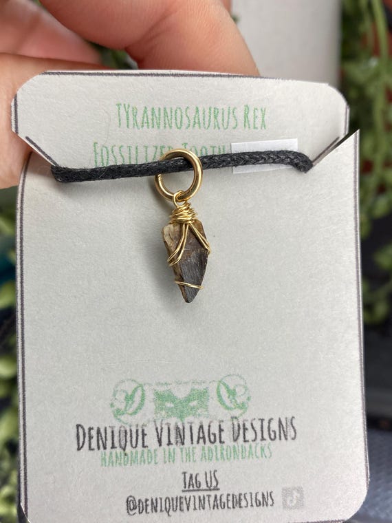 Real TYrannosaurus Rex Tooth Wire Wrapped Pendant Necklace- Silver/Steel/Copper/Bronze/Gold 14K Rose Gold/ Niobium - Real Fossil T rex teeth