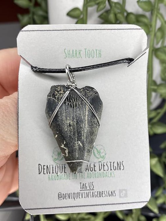 Real NC Megalodon Fossil Tooth Wire Pendant Necklace- Silver/Steel/Copper/Bronze/14K Gold 14K Rose Gold/ Black Niobium - Fossil Shark