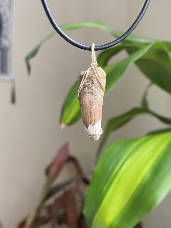 Genuine Spinosaurus Tooth Wire Pendant- Silver/Steel/Copper/Bronze/14K Gold 14K Rose Gold/ Black Niobium - Real Fossil Spino teeth dinosaur