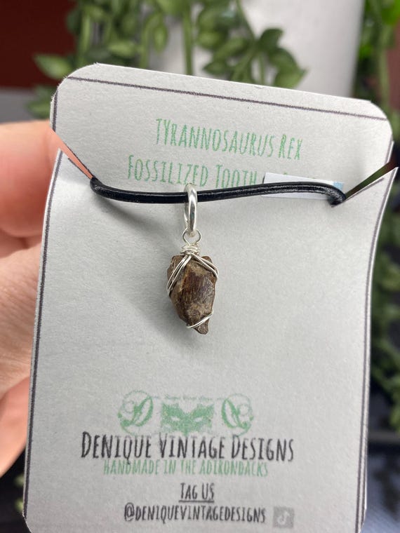 Genuine T Rex Tooth Wire Wrapped Pendant Necklace- Silver/Steel/Copper/Bronze/Gold 14K Rose Gold/ Niobium - Real Fossil Tyrannosaurus teeth