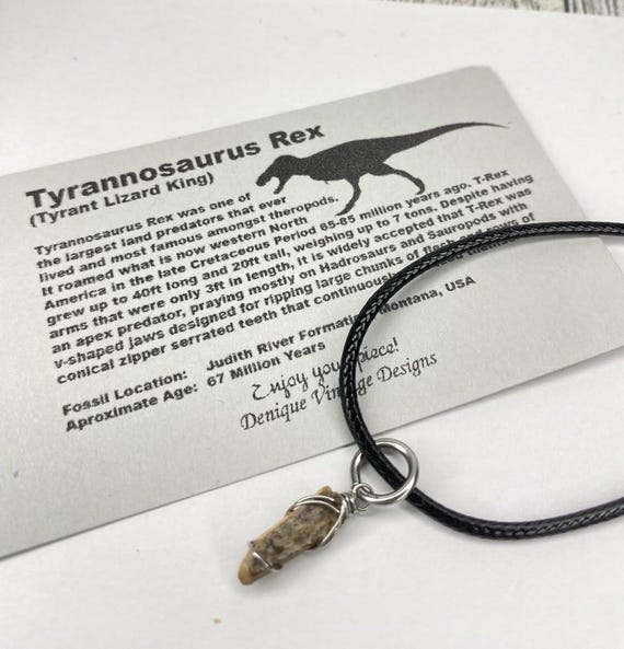Genuine Small T Rex Tooth Wire Wrapped Pendant Necklace /Steel/Copper/Bronze/Gold 14K Rose Gold/ Niobium - Real Fossil Tyrannosaurus teeth