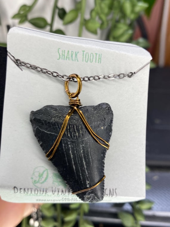 Real NC Megalodon Fossilized Tooth Wire Pendant Necklace- Silver/Steel/Copper/Bronze/14K Gold 14K Rose Gold/ Black Niobium - Fossil Shark