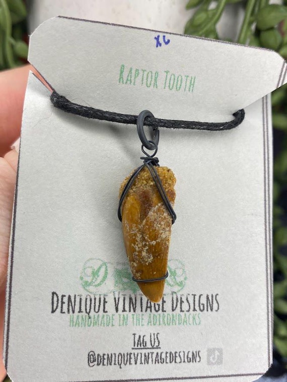 XL Genuine Raptor Tooth Abelisaurus Raptor KemKem Morocco WireWrapped Pendant Necklace- Silver/Steel/Copper/Bronze/Gold/ Niobium - Fossil