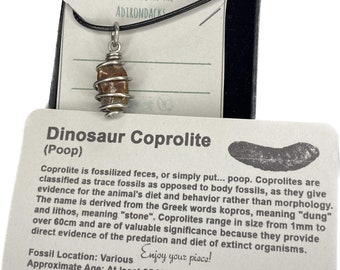 Coprolite Fossil Dino Polished Poop Wire Cage Charm- Silver/Steel/Copper/Bronze/14K Gold 14K Rose Gold/ Black Niobium - Bracelet Charm