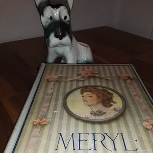 Meryl by William Tillinghast Eldridge