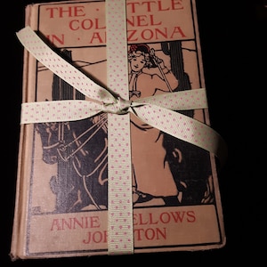 Antique Children&#39;s Books The Little Colonel In Arizona Book Bundle Annie Johnston Fellows