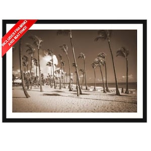 Tropical Beach Paradise, Punta Cana, Dominican Republic (Framed Matted Artwork)