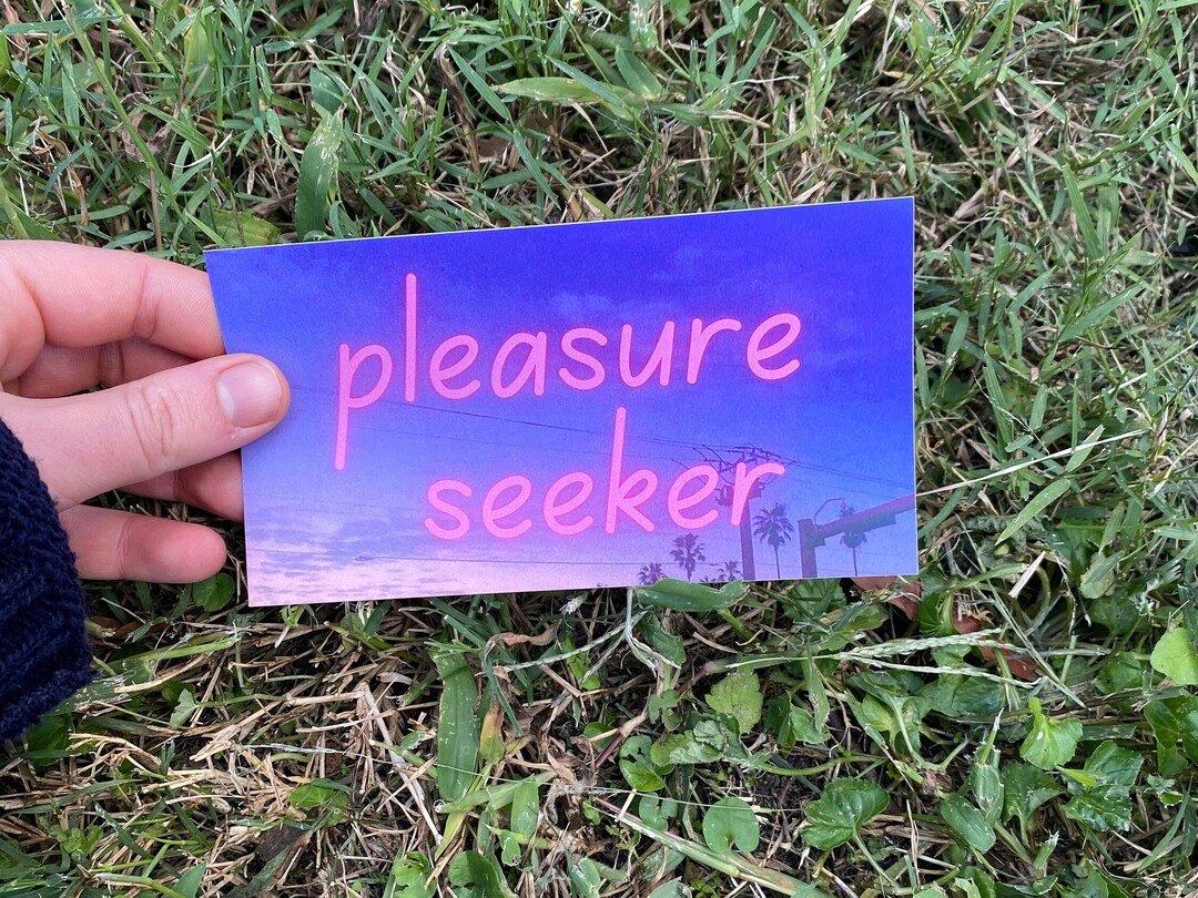 Pleasure Seeker Bumper Sticker Etsy
