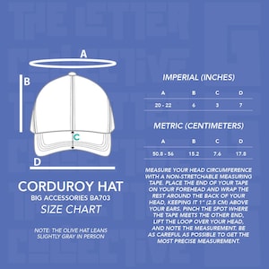 Chaos Coordinator Embroidered Corduroy Hat | Funny Statement Cap image 2