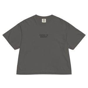 Friend Of Dorothy Embroidered Women’s Comfort Colors Heavyweight Boxy Tee | LGBTQIA+