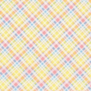 Hoppy Easter Gnomies Bias Plaid by Shelly Comisky for Henry Glass Q-565-24