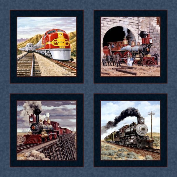 Classic Locomotives from MDG. This is a great pillow panel.