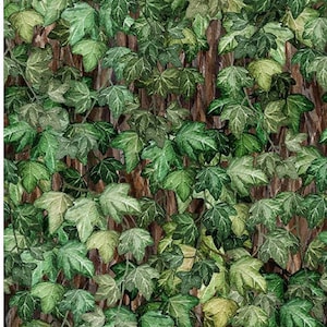 Botanical by Jason Yenter from In the Beginning Fabrics.  6BL-1
