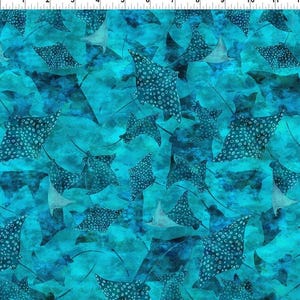 Calypso III by Stingrays Jason Yenter In the Beginning Fabrics-  36 CAL-2 Teal