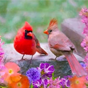 Cardinal Couple Panel / Multi, 36" from Four Seasons by David Textiles. AL-6913-4C-1