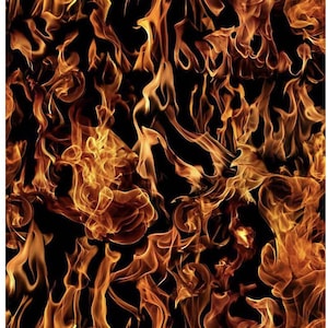 Llamas de la guarida del dragón de Timeless Treasures. FIRE-CD7734 BLACK