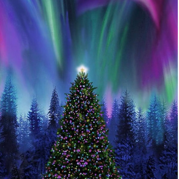 Aurora Borealis Christmas Tree Panel from Winter Solstice for Timeless Treasures. Panel is approximately 24" x 44". Panel-CD2010