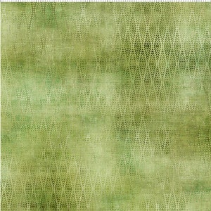 Botanical by Jason Yenter from In the Beginning Fabrics.  8BL-1