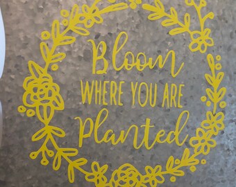 Bloom where you are planted