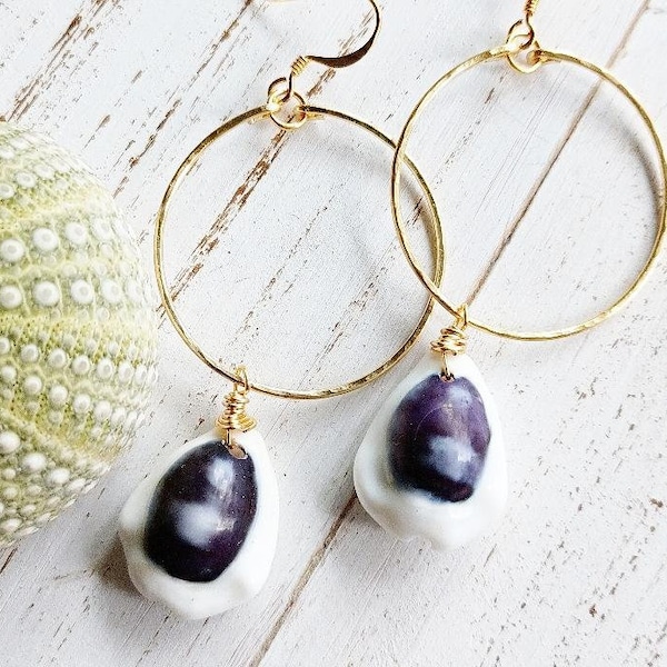 Purple Money Cowry Hoops| Cowrie Hoop Earrings| Medium Hoops| Gold Jewelry| Cowrie Shell Jewelry| Hoop Earring with Cowrie Shell