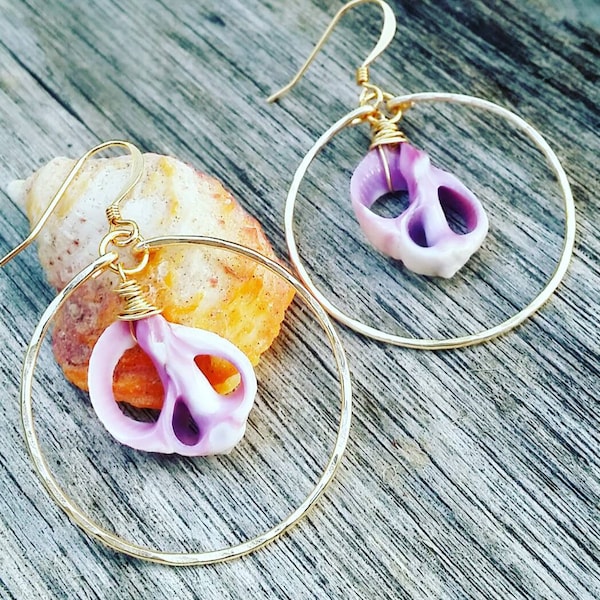 Cebu Sea Shell Hoop Earrings | Purple Sliced Shell Earrings | Shell Jewelry | Medium Hoops | Beach Lover Gift | Shell Hoops