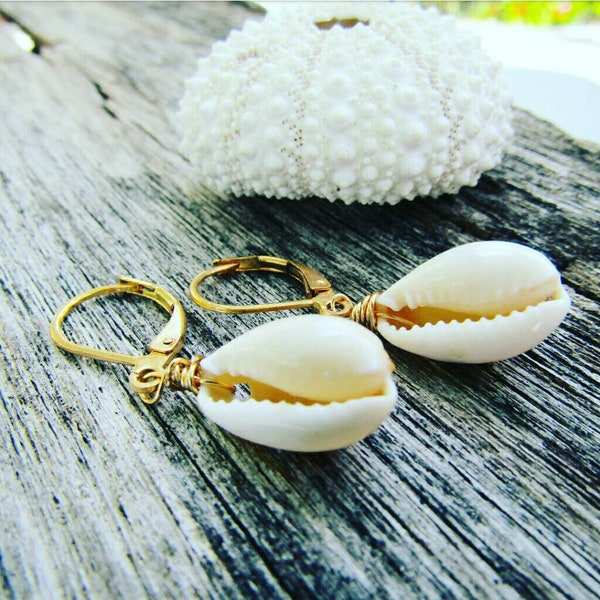 Cowry Earrings | Lever Back Style | Cowrie Shell | Shell Jewelry | Handmade in Hawaii